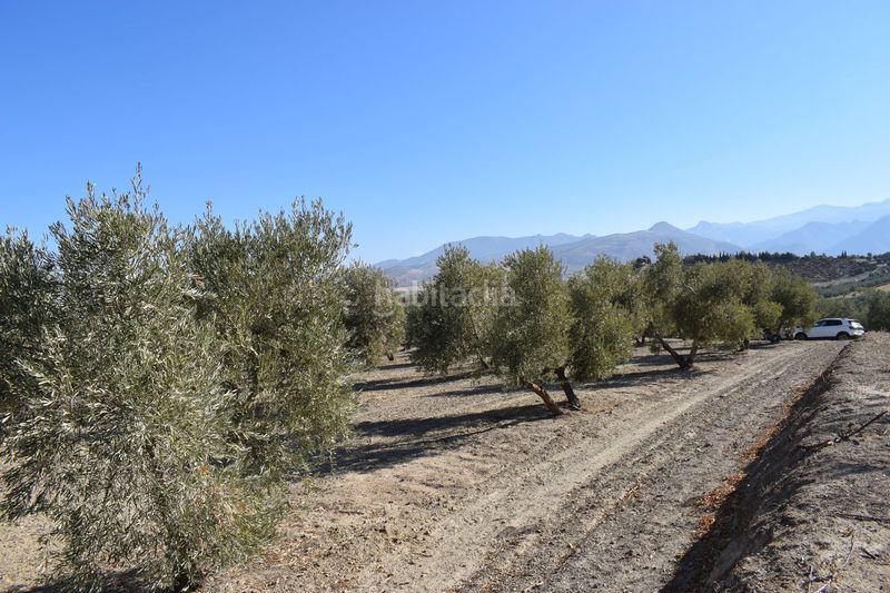 Foto d6df482c-ab3f-4e86-9bf0-722379317765. Finca rústica a Villa de Otura