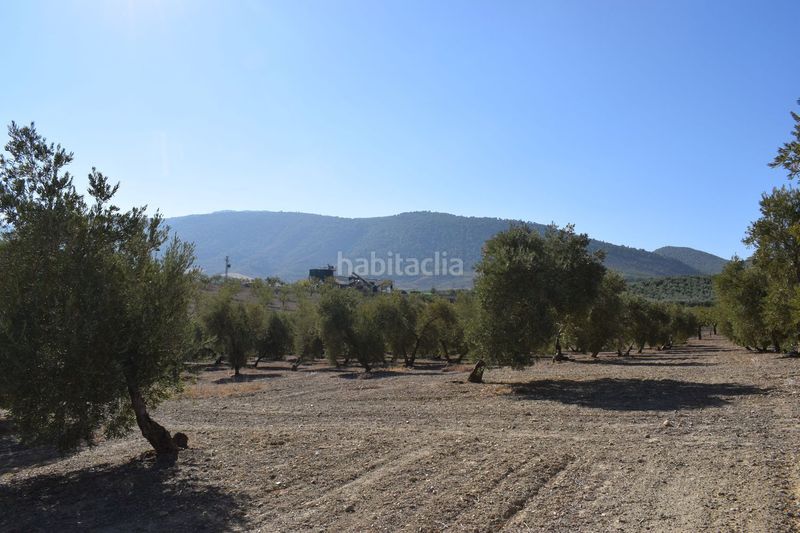 Foto e4247f20-6b1b-4aee-94f7-f055800585c3. Finca rústica a Villa de Otura