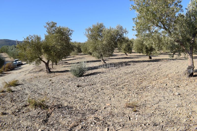 Foto e87002ae-d408-4ef3-baa2-6fb136eaf812. Finca rústica a Villa de Otura