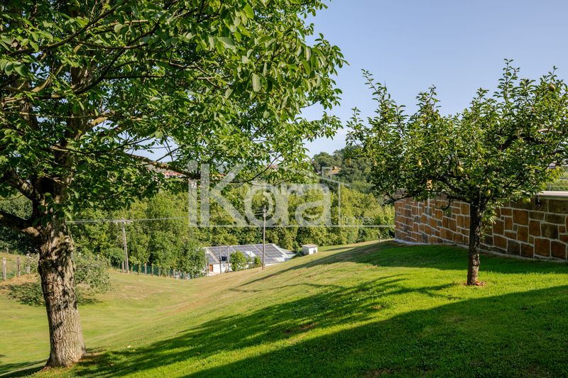 Foto ef2b0120-8b11-485b-b42a-2eba350ad1a6. Xalet a urnieta bidea 3 a Lasarte - Oria
