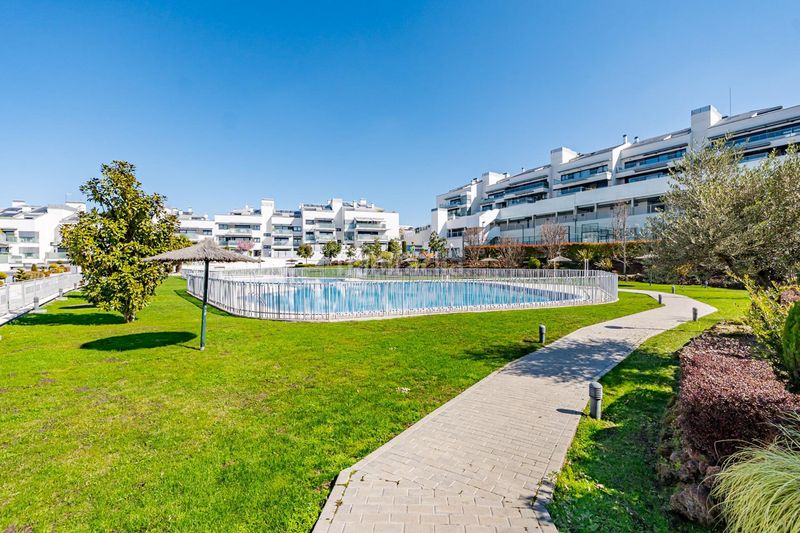 Foto d982ad1d-09ed-4f71-811a-9dccfea8f2fb. Planta baixa a avenida seleccion española futbol 18 a Boadilla del Monte