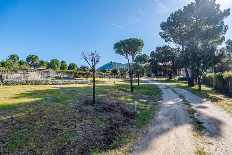 Foto 71ca3860-f6e5-46ee-a78e-ef052a59621a. Masia amb calefacció piscina a Tiemblo (El)