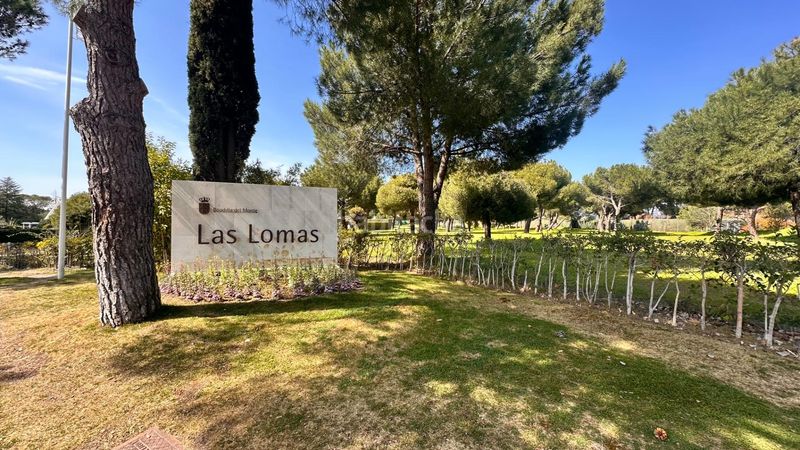 Foto ccee726b-88a6-4ada-9ff3-743555ce403c. Chalet en Las Lomas Boadilla del Monte