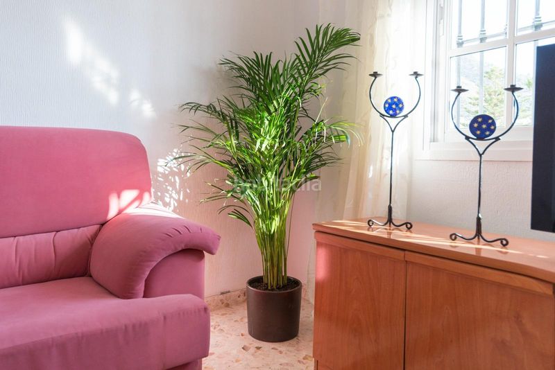 Foto c158020b-3528-4997-b14f-cf35d7da5f17. Rent chalet with parking pool in Capellanía - Retamar Alhaurín de la Torre