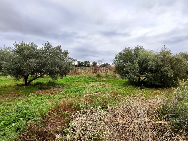 Foto a530c4a1-9de9-41dd-a849-a82aa7e18e54. Finca rústica a n/a a Vilallonga del Camp