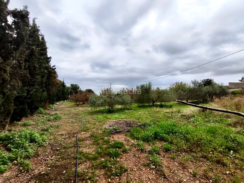 Foto b30b20a6-b2a5-46ed-9653-a5dea7e0ae79. Finca rústica a n/a a Vilallonga del Camp