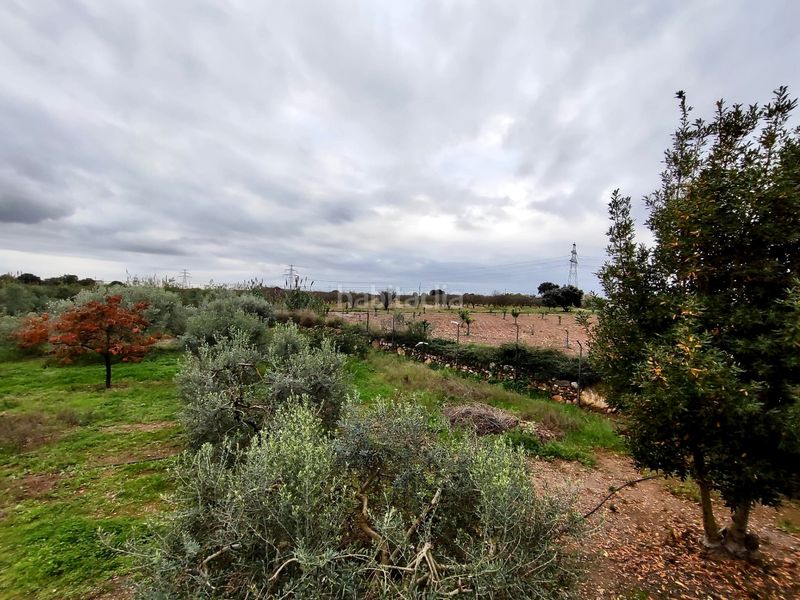 Foto f9dd55eb-83b6-4311-943b-db146011734d. Finca rústica a n/a a Vilallonga del Camp