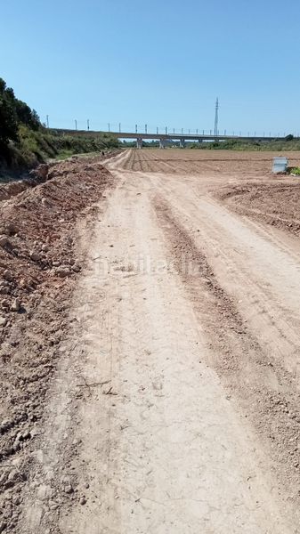 Foto 02fe2f07-7751-4dc9-99bb-d3ba96759391. Finca rústica a n-240 820 a Perafort