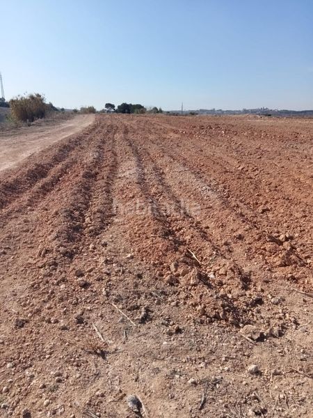 Foto 69749513-b1bb-44bd-bbe6-549be85933f7. Finca rústica a n-240 820 a Perafort