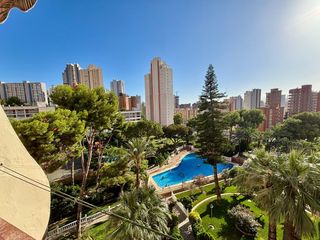 Lloguer Estudi  Avenida paris. Alquiler larga estancia, coqueto estudio reformado