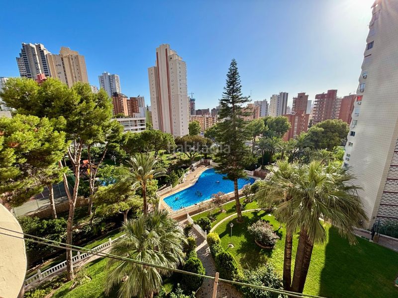 Foto 23c98247-aeab-45a3-8974-7412974b5308. Rent studio in Rincón Alto Benidorm