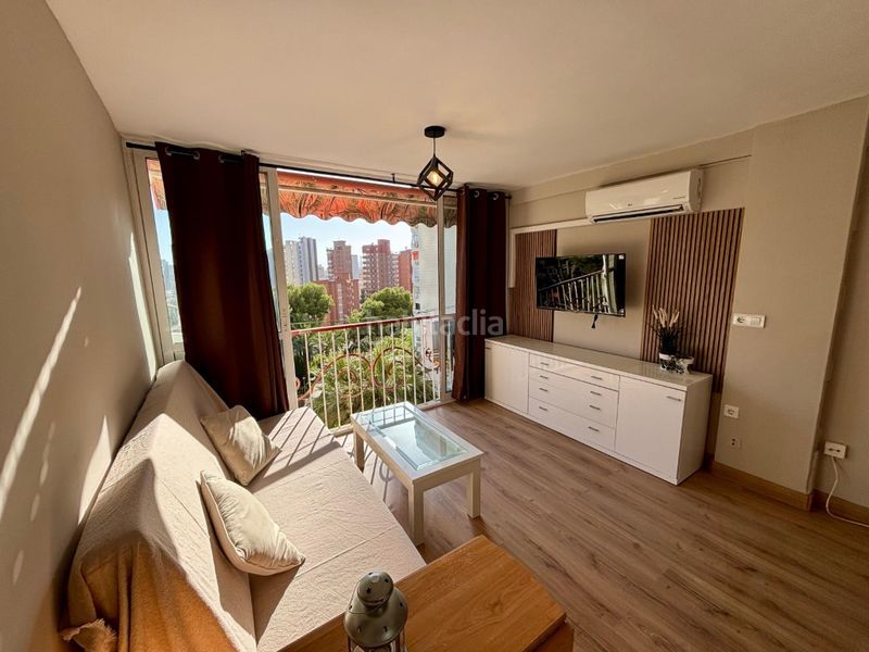 Foto 99c9f387-8025-42b0-a012-dc6178eee01b. Rent studio in Rincón Alto Benidorm