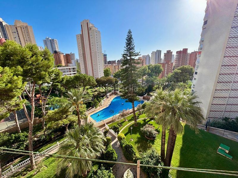 Foto e43fb4f7-1b61-47cc-9bd0-23d731d20c8b. Rent studio in Rincón Alto Benidorm