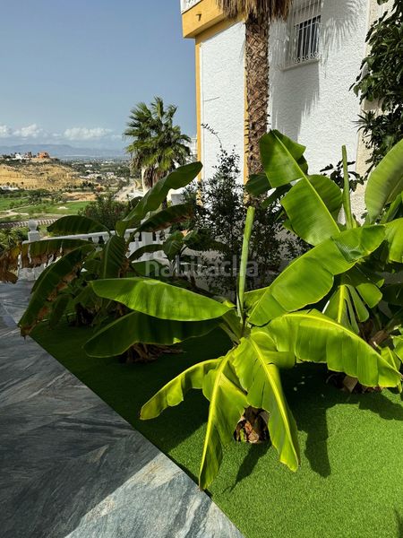 Foto cc215812-c24f-4845-9973-12cc04efea15. Casa en Rojales
