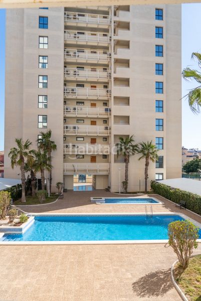 Foto 66835a0a-a90b-4d75-b37b-fce12cffc08a. Apartament a La Veleta Torrevieja