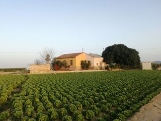 Maison à Montepinar - La Aparecida - Raiguero
