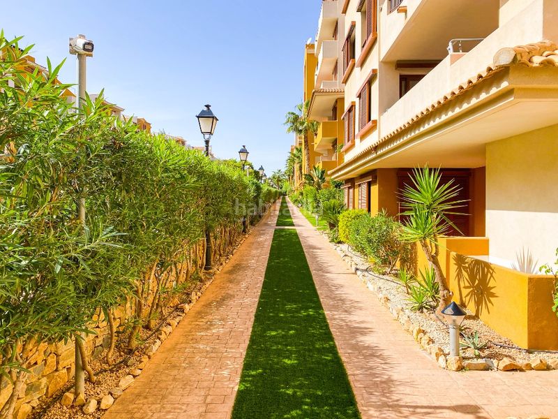 Foto d1bc2fc4-99be-4a97-bd02-3ddfbb23e788. Apartament a Punta Prima Torrevieja