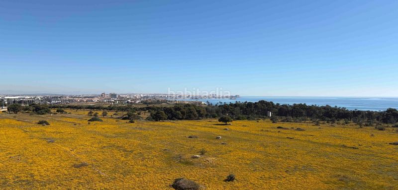 Foto 50d013ee-b4b4-4901-b34e-45050d74a841. Apartament a Punta Prima Torrevieja
