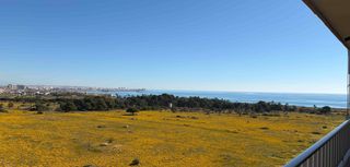 Apartament a Punta Prima