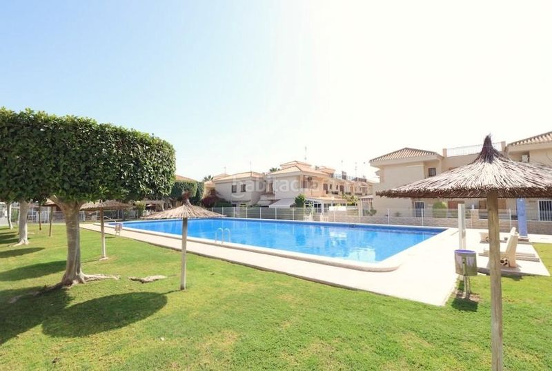 Foto 5dbaff1a-b1c2-4c61-b62a-e7b578305071. Apartament amb piscina a Playa Flamenca Orihuela