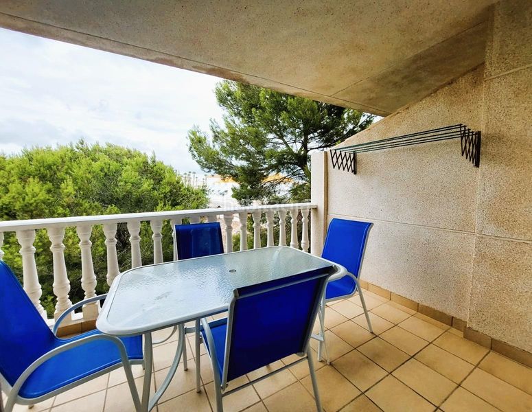 Foto d597e63d-807c-47bf-8a77-41facfebda26. Apartament amb piscina a Playa Flamenca Orihuela