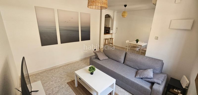 Foto 00264276-b05e-473a-a50f-ce941262684a. Apartamento en Playa Flamenca Orihuela