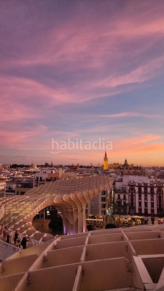 Foto 090d0718-0af9-4242-bd5b-94b7b5e624ea. Pis a Triana Oeste Sevilla