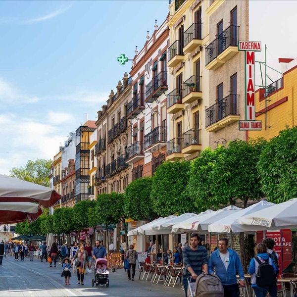 Foto 31e67d70-6608-459b-a9d5-bdff4a118d1c. Pis a Triana Oeste Sevilla