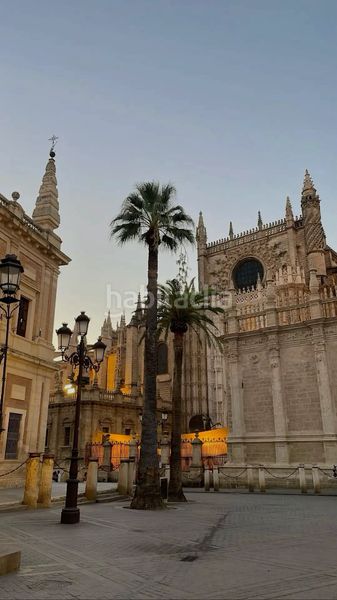 Foto 1cc6b55f-e60f-47a0-ba7e-2e7bce4ea551. Pis a Triana Oeste Sevilla
