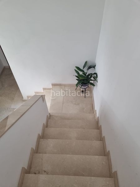 Foto b36a6aea-e663-4ce3-90e7-b4e6cabafc5e. Pis a Bami - La Estrella Sevilla