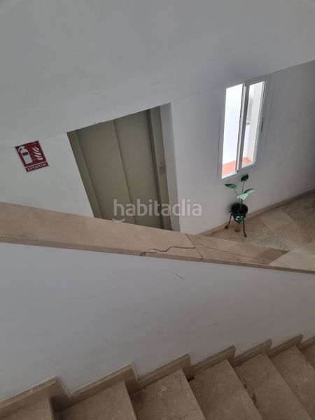 Foto be508d96-1a62-4be3-9e02-d20856e10709. Pis a Bami - La Estrella Sevilla