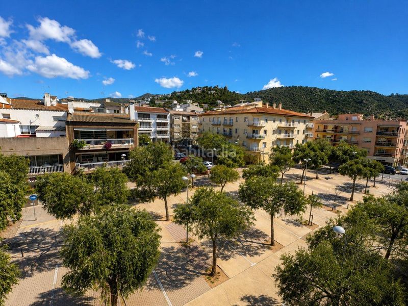Foto 0a429777-acb8-44a3-9f0a-f399953ee5f4. Àtic a Centre Roses