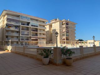Apartament en Los Europeos. Tu apartamento junto al mar te espera en vi�amar, la mata!