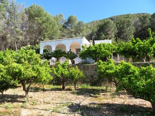 Mas�a en Pego. Para amantes de naturaleza