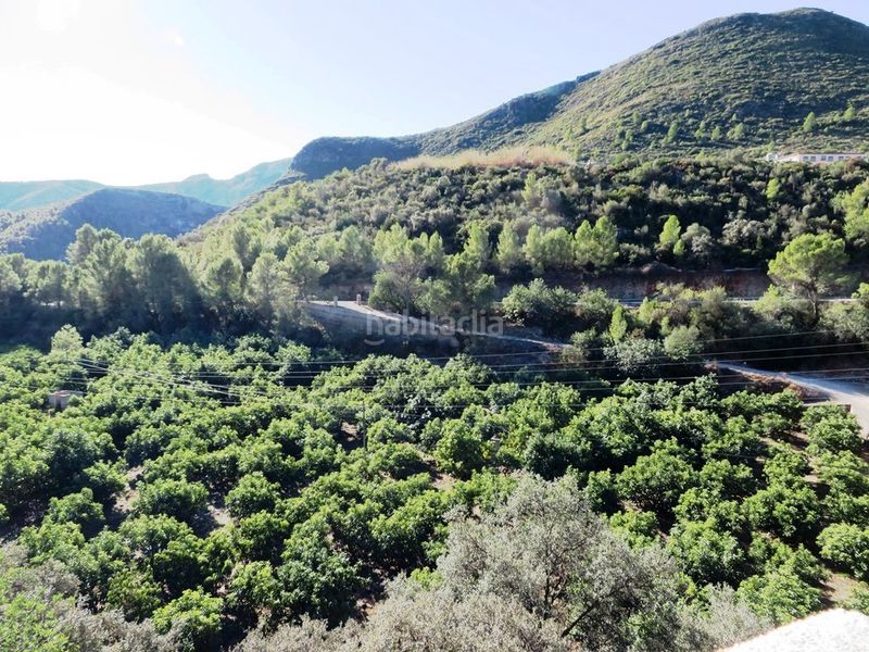 Foto 871acc3a-02ff-43d3-abc6-e4ce664663c6. Xalet amb xemeneia aparcament piscina a Atzúbia (L´)