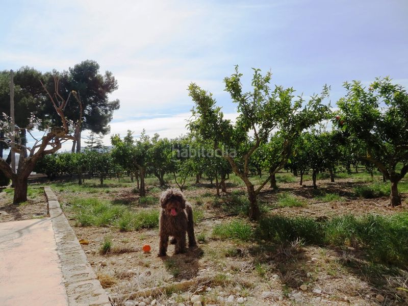 Foto fb808018-3004-4ad7-b842-84c07e69a1bc. Xalet amb xemeneia aparcament a Benidoleig
