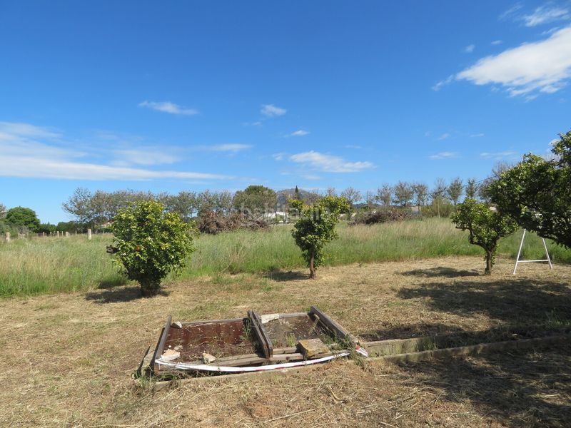 Foto b920dd31-28eb-43e7-965c-65c6011cc694. Finca rústica a Ondara