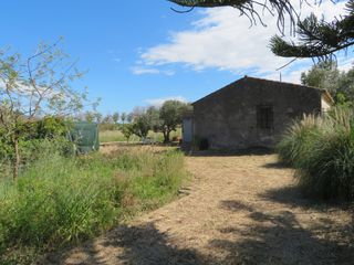 Maison à Ondara. Magnifica finca rustica de 14.500 m2 con una edificación de 96 m