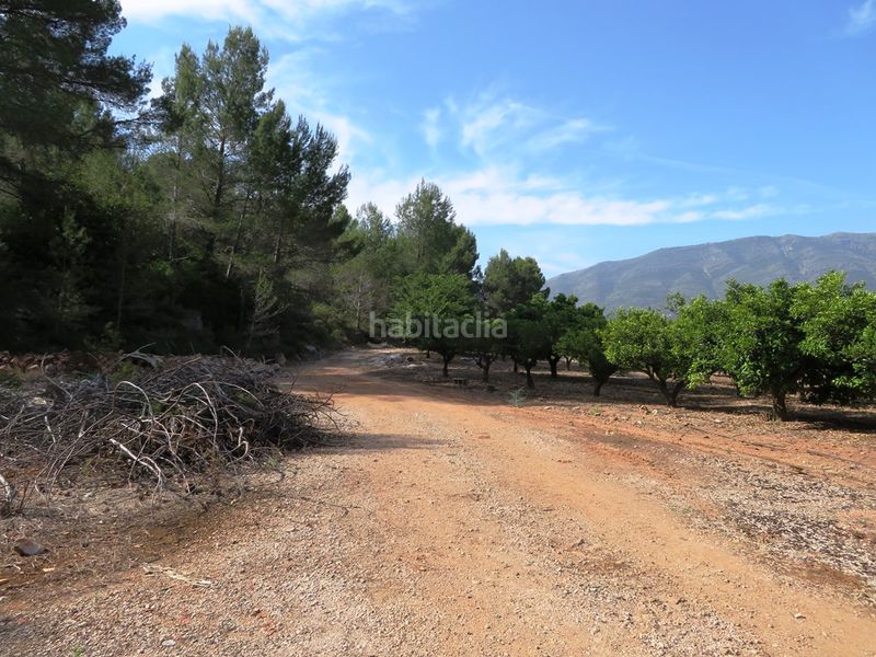 Foto 1198a52d-2c14-4415-8c82-e445dab62382. Finca rústica a Murla