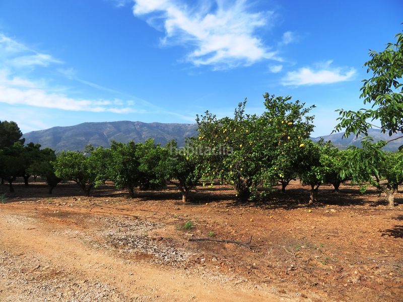 Foto 18b6d6b9-8548-41cf-adf2-21a6710b44d9. Finca rústica a Murla