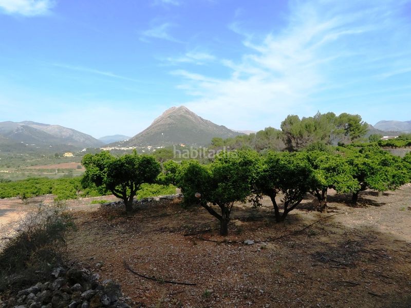 Foto 6f652d01-4700-447b-8958-fadc6c6f67b5. Finca rústica a Murla