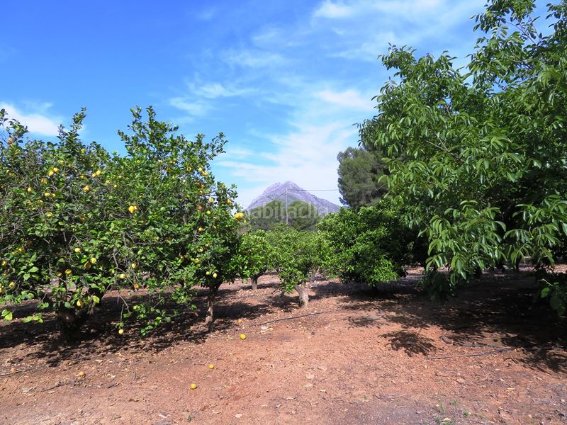 Foto 9d56897b-ac83-4e9b-b40a-9ffff43211bd. Finca rústica a Murla