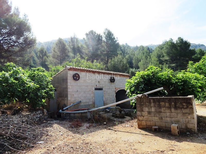 Foto db3f3bce-80a2-4a0f-9d65-7f1972f37919. Finca rústica a Murla