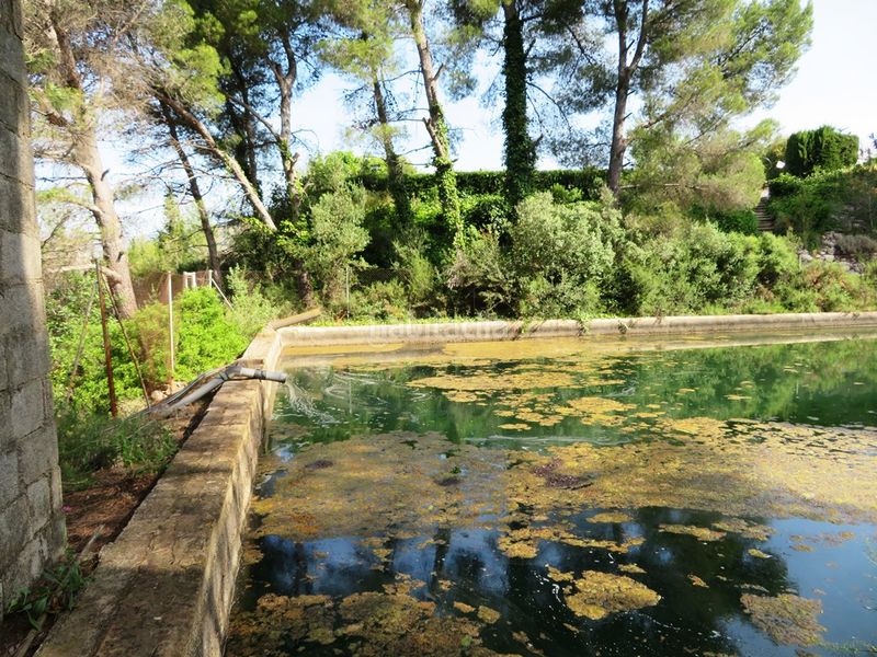 Foto e5a6afcd-4f2b-4704-83d1-6a7e7787dff6. Finca rústica a Murla
