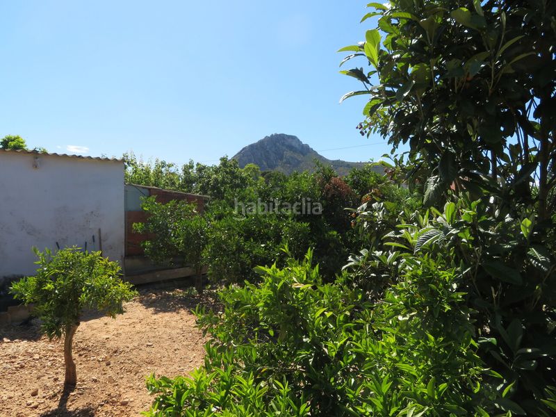Foto b1410119-b51b-45be-9434-5c0e1aa11299. Xalet amb aparcament a Verger (el)