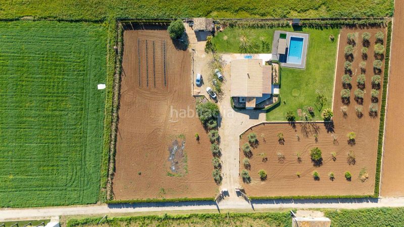Foto ff1c1052-a937-47c4-b921-7026057f9307. Masia a Sa Pobla
