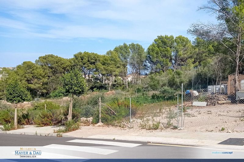 Foto 33edffd6-2c96-4a5d-8b79-2844b5d60619. Terreny residencial a Cala Ratjada Capdepera