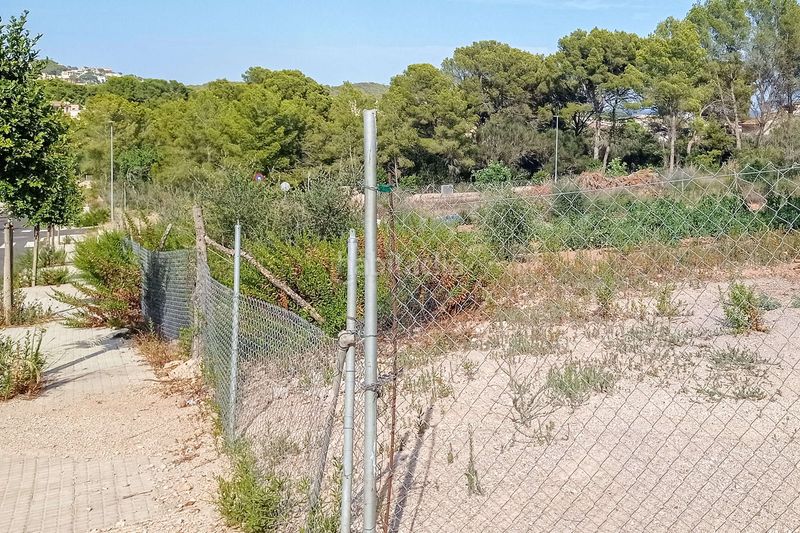 Foto 4e3cc436-53fe-4082-be15-fc444f9bed8e. Terreny residencial a Cala Ratjada Capdepera