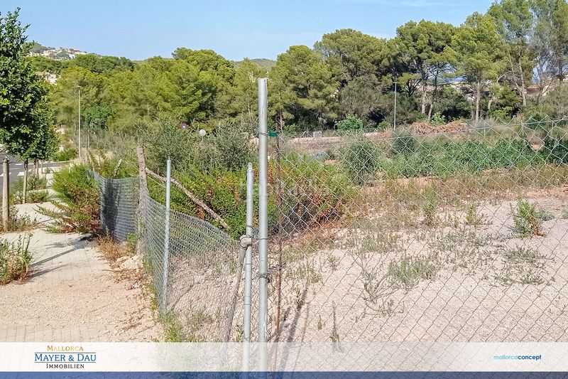 Foto 91a95dfa-02a1-4c5e-a1b6-8bbf3a635bb6. Terreny residencial a Cala Ratjada Capdepera