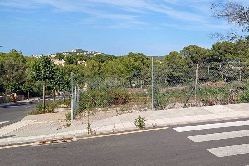Foto d0e61d00-e70d-46d5-b8bf-2469e545c70e. Terreny residencial a Cala Ratjada Capdepera